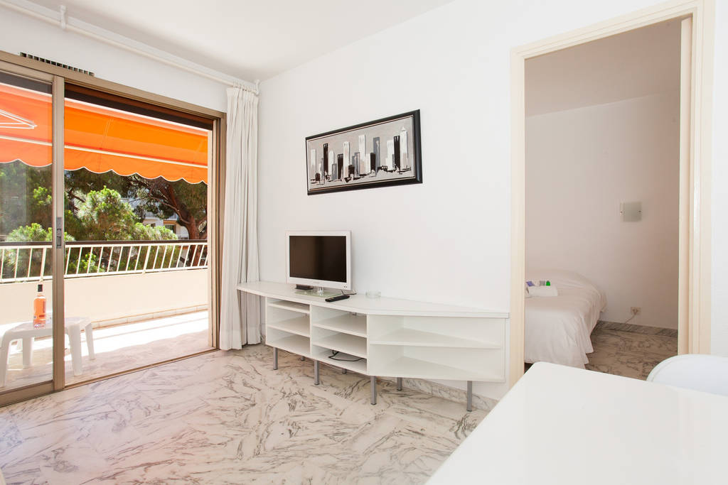 location appartement Fleurie cannes