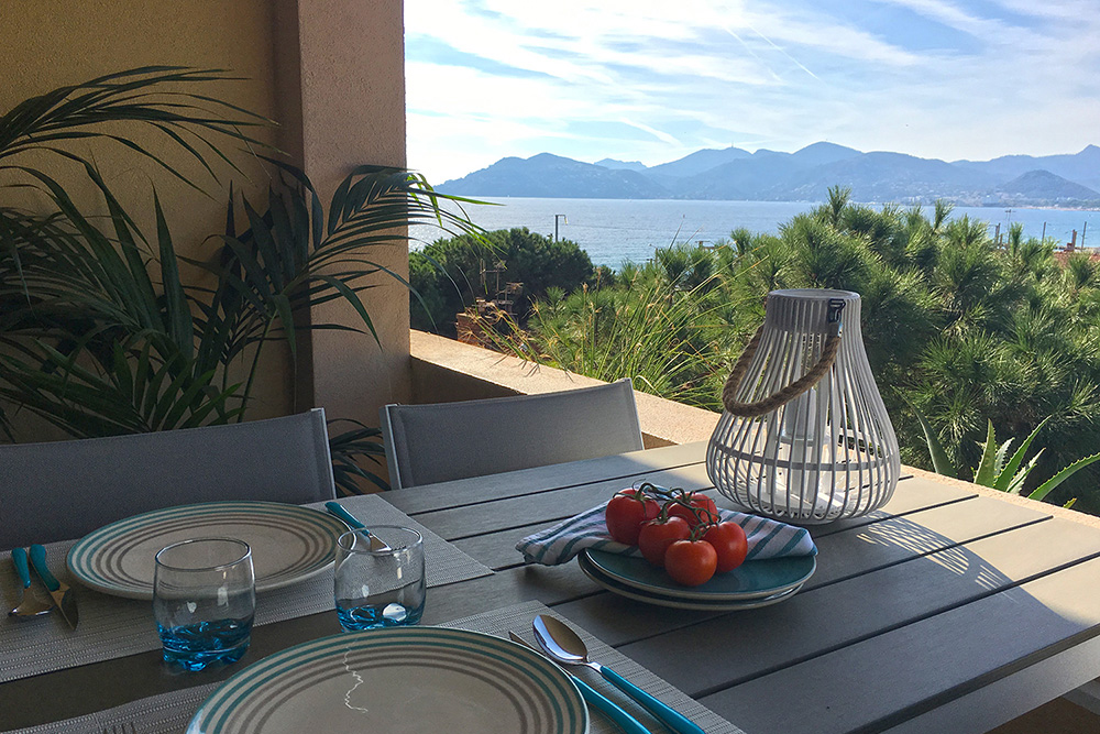 location saisonniere conciergerie cannes