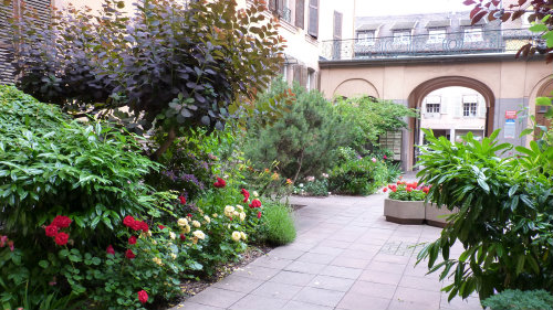 airbnb colmar ville accueillante france classement airbnb 2018