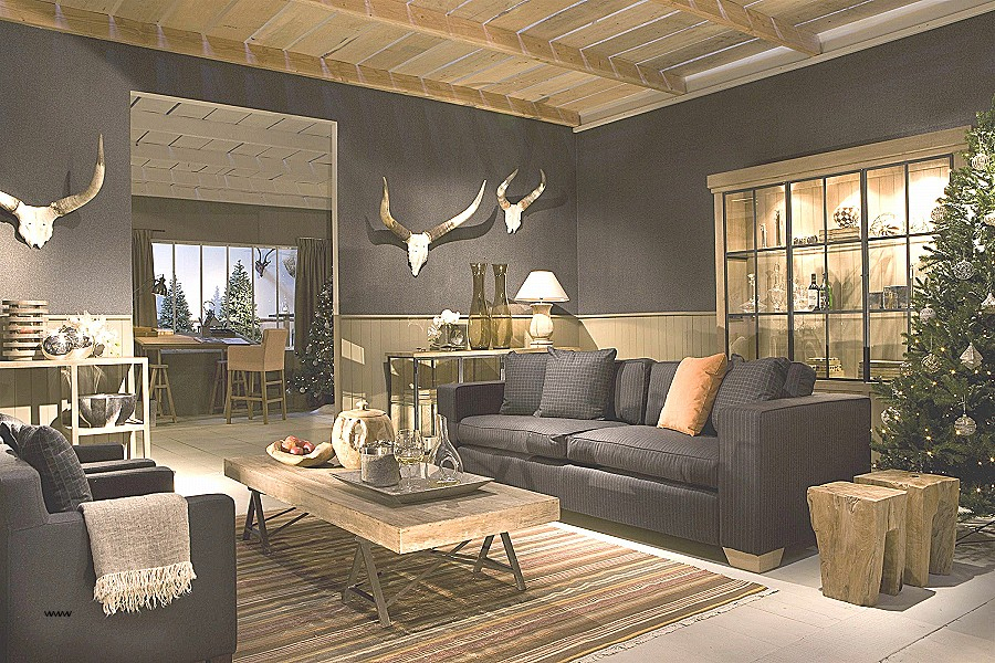 vacances location meublee cannes